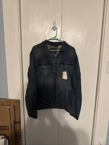 Levi strauss signature gold - strauss,